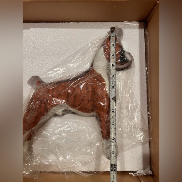 Never displayed, beautiful Boxer model. - Picture 8 of 9